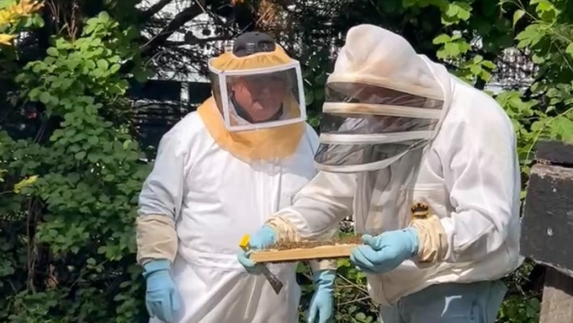 The Latest Buzz in Atlantic Highlands
